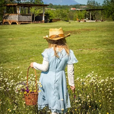 Camping Freedom Istria Pitches Foli