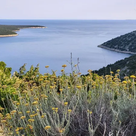 Camping Freedom Istria Pitches *