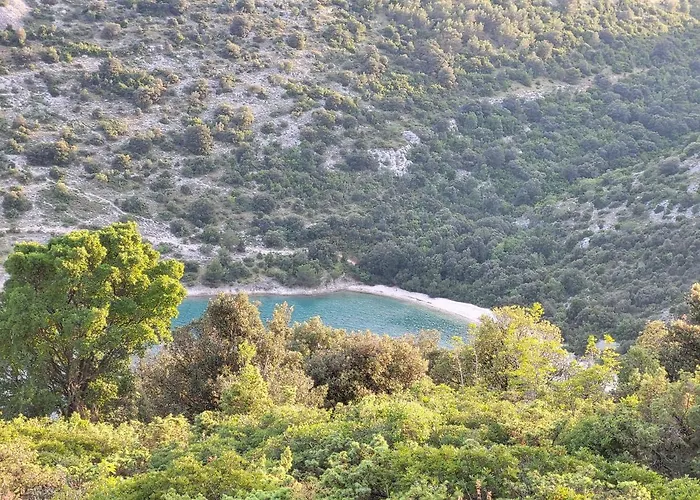 Kamp Camping Freedom Istria Pitches *