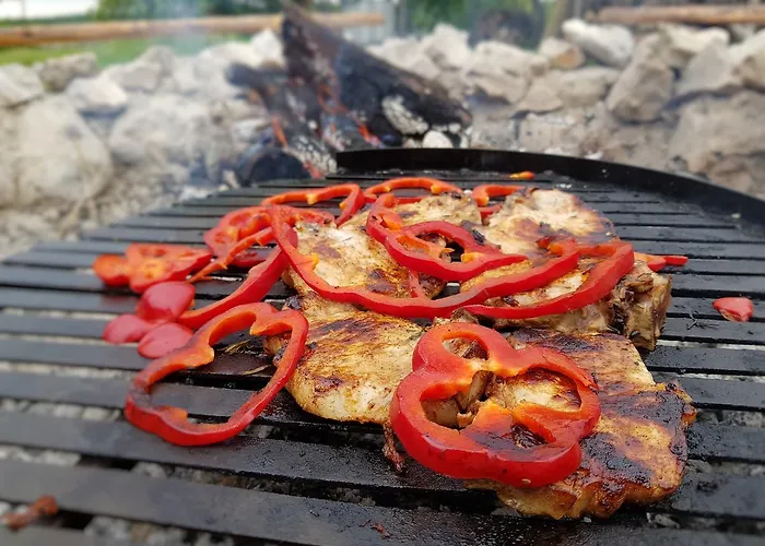 Camping Freedom Istria Pitches Campingplatz Foli