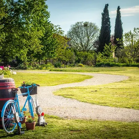 Camping Freedom Istria Pitches * Foli