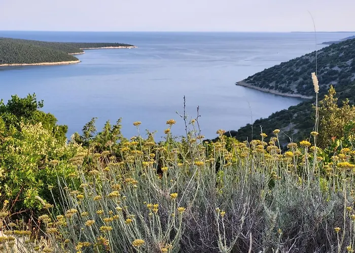 Freedom Istria Pitches *